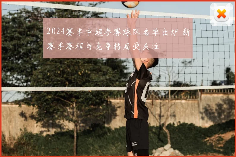 2024赛季中超参赛球队名单出炉 新赛季赛程与竞争格局受关注