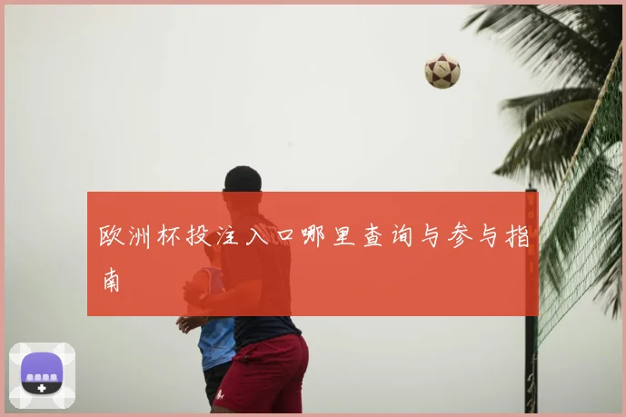 欧洲杯投注入口哪里查询与参与指南