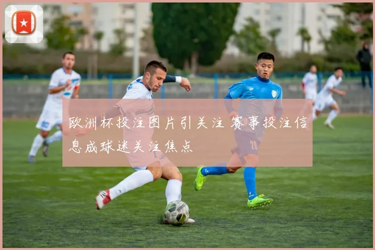 欧洲杯投注图片引关注 赛事投注信息成球迷关注焦点
