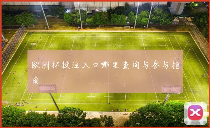 欧洲杯投注入口哪里查询与参与指南