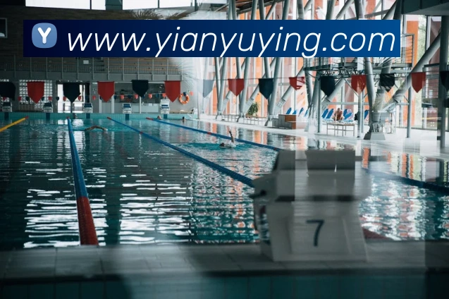 世界杯app官网发展历程